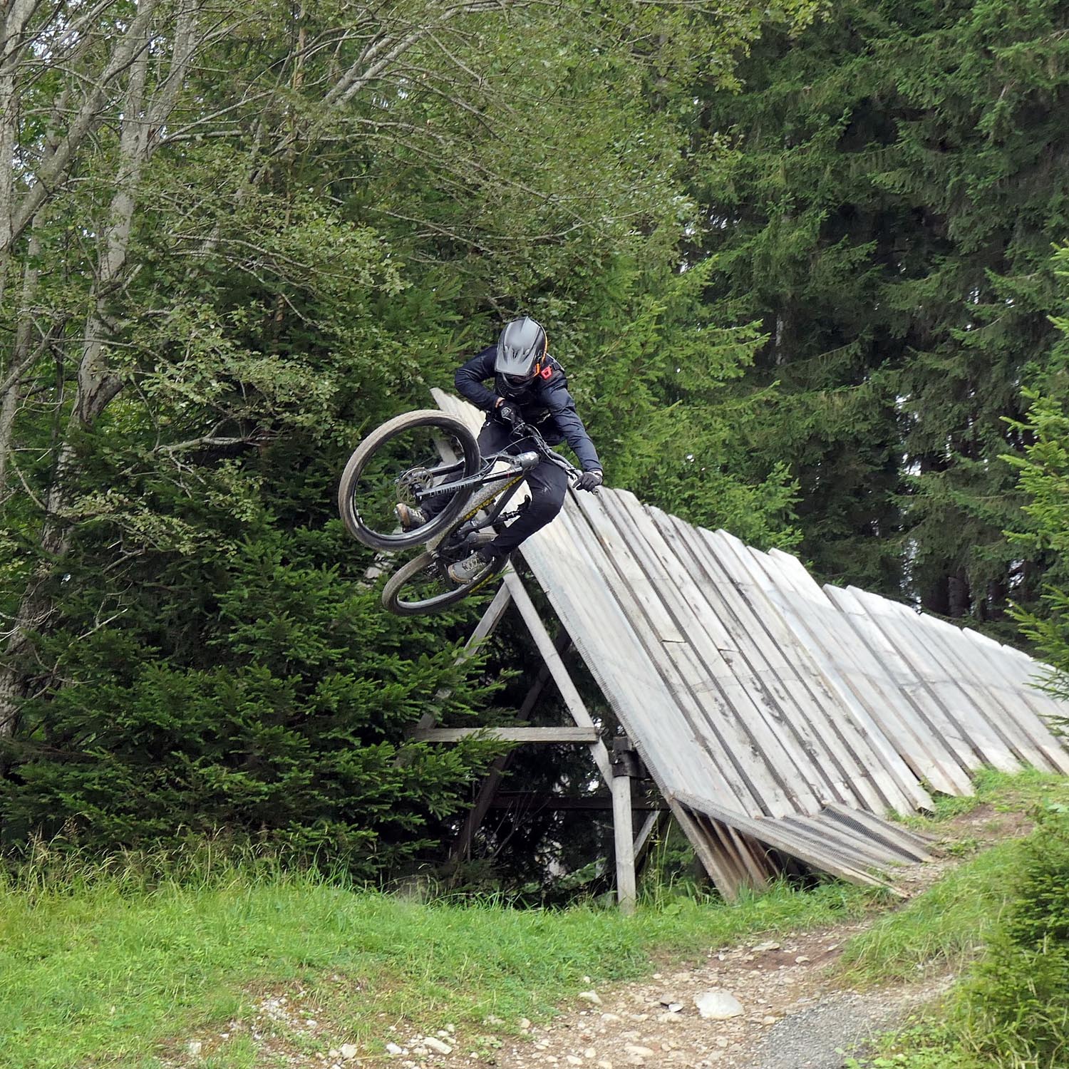 Fritz mountain-action MTB Coach 